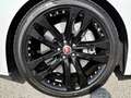 Jaguar F-Type F-Type Cabriolet 2L Essence 300 ch BVA8 R-Dynamic Blanc - thumbnail 16