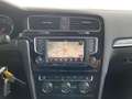 Volkswagen Golf Variant - Golf Variant 1.6 tdi (btdi) Highline Grigio - thumbnail 14