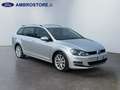 Volkswagen Golf Variant - Golf Variant 1.6 tdi (btdi) Highline Grigio - thumbnail 3