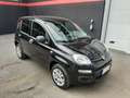 Fiat Panda Panda III 2021 1.0 firefly hybrid s Nero - thumbnail 7
