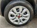 Fiat Panda Panda III 2021 1.0 firefly hybrid s Nero - thumbnail 8