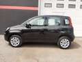 Fiat Panda Panda III 2021 1.0 firefly hybrid s Nero - thumbnail 2