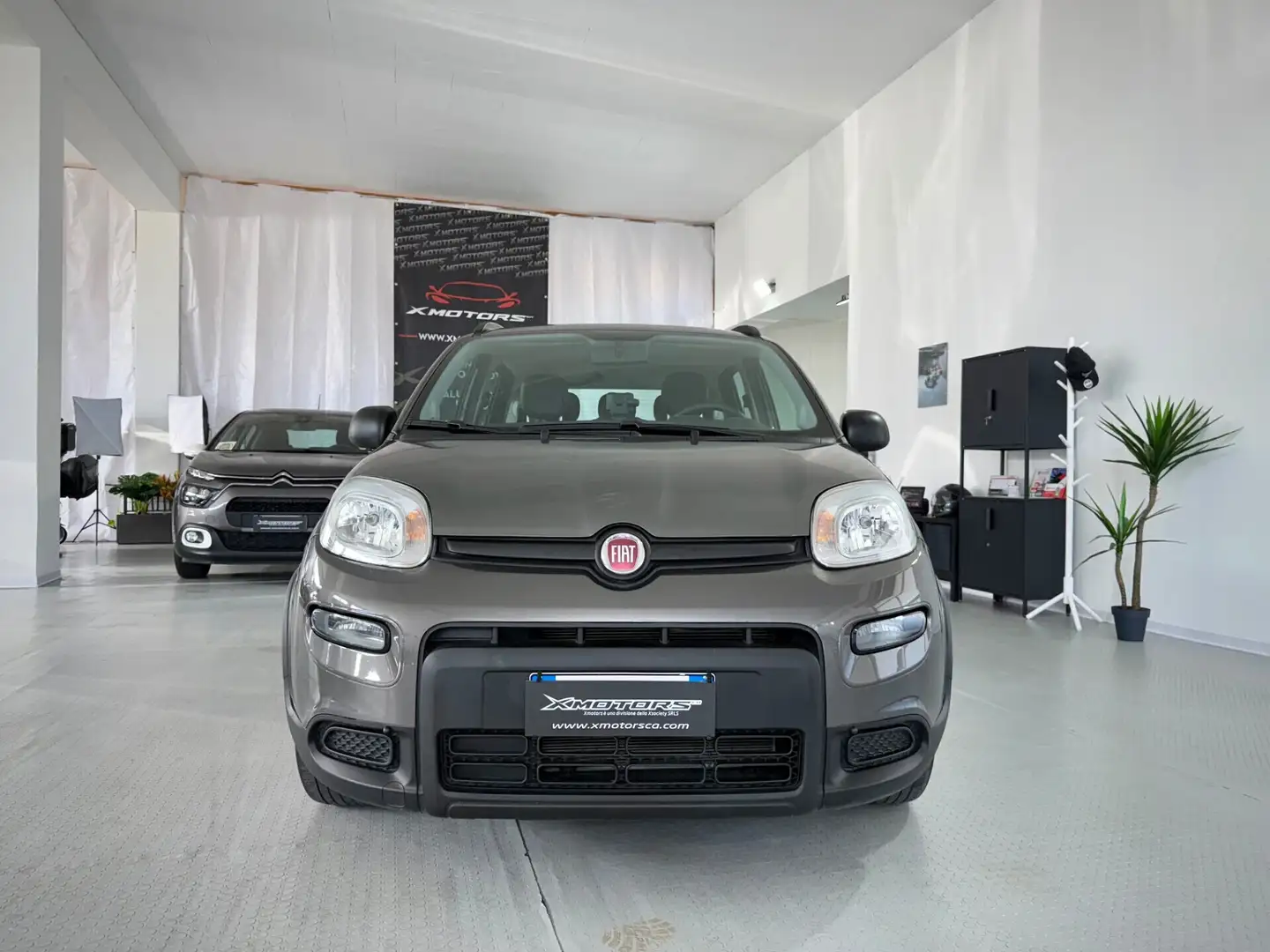 Fiat Panda 1.0 FireFly S&S Hybrid City Life Grigio - 2