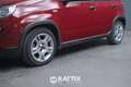 Fiat Panda 1.0 Firefly Hybrid 70CV Rouge - thumbnail 3