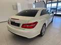 Mercedes-Benz E 220 E 220 CDI Coupé BlueEFFICIENCY Bianco - thumbnail 8