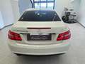 Mercedes-Benz E 220 E 220 CDI Coupé BlueEFFICIENCY Bianco - thumbnail 5
