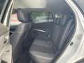 Suzuki SX4 S-Cross SX4 S-CROSS 1.5 COMF.+ ALLGRIP AGS |360GRAD| SHZ Weiß - thumbnail 11