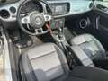 Volkswagen New Beetle cabrio/airco/navi/xenon verlichting/19 inch/dealer Gris - thumbnail 7