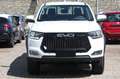 EVO Cross4 2.0 Turbo Diesel Doppia Cabina VARI COLORI Bianco - thumbnail 10