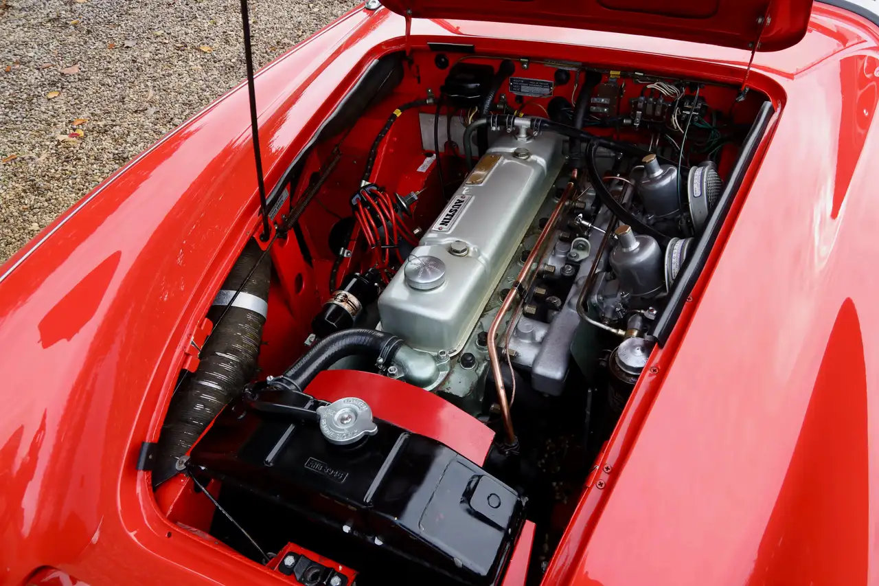Austin-Healey 100/6 "A fast tour-special" "A fast tour-special", foto 4