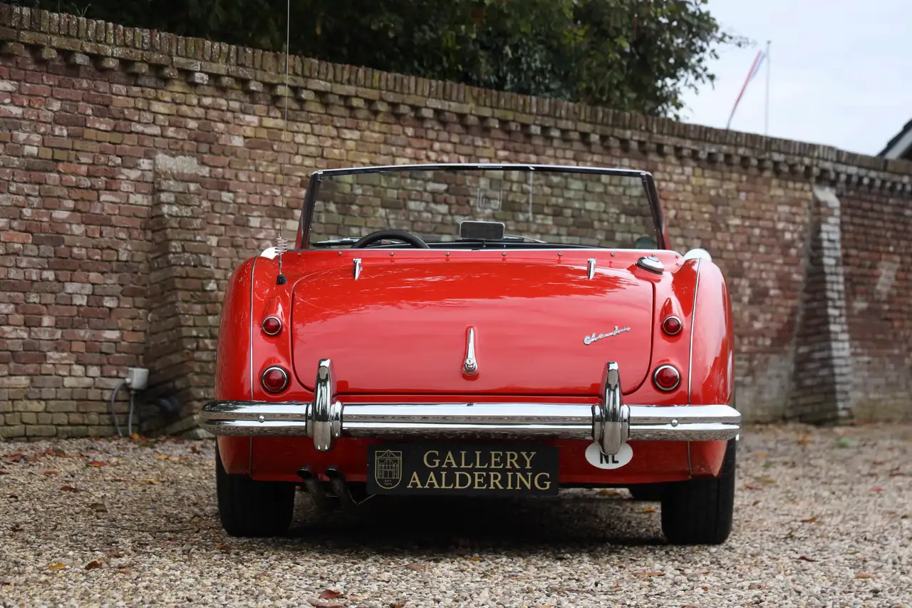 Austin-Healey 100/6 "A fast tour-special" "A fast tour-special", foto 6