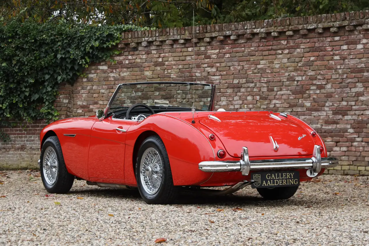 Austin-Healey 100/6 "A fast tour-special" "A fast tour-special", foto 2