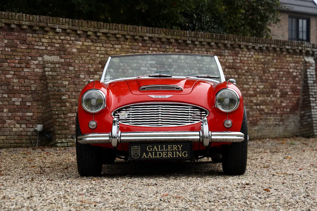 Austin-Healey 100/6 "A fast tour-special" "A fast tour-special", foto 5