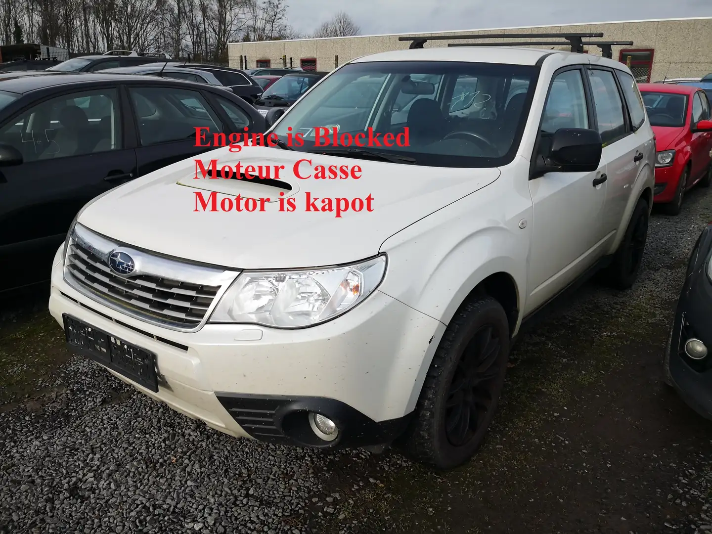 Subaru Forester Forester 2.0 D no start! demarre pas! Blanc - 1