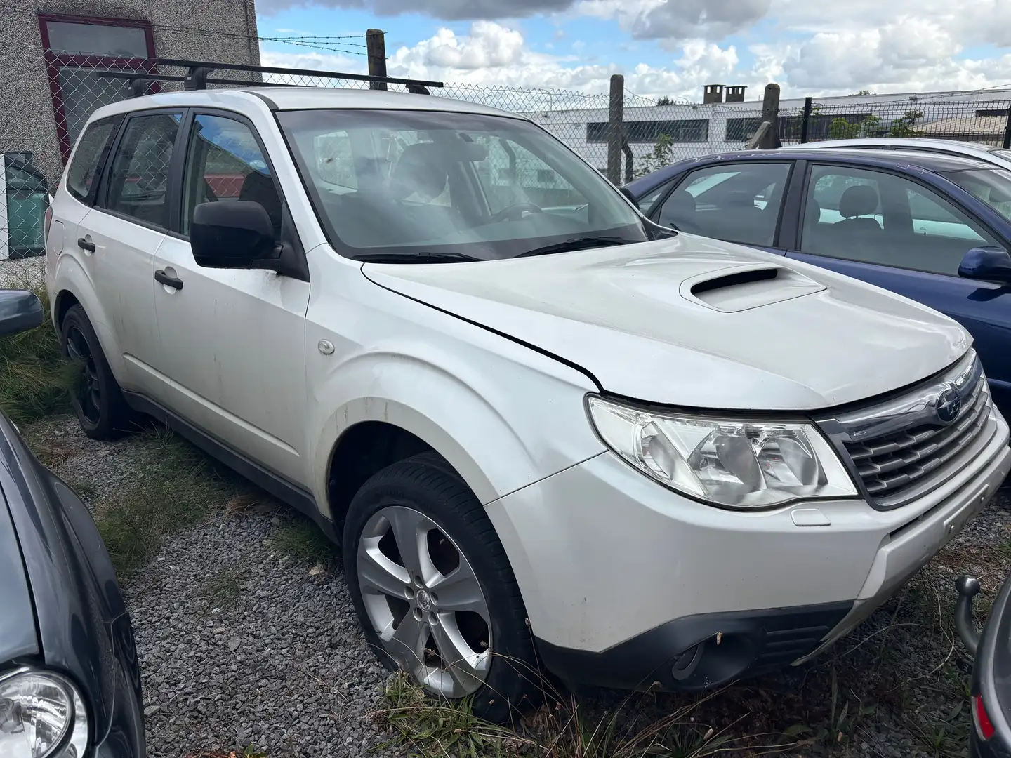 Subaru Forester Forester 2.0 D no start! demarre pas! Blanc - 2
