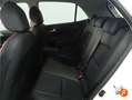 Kia Picanto 1.2 DPi AMT GT-Line Blanco - thumbnail 15