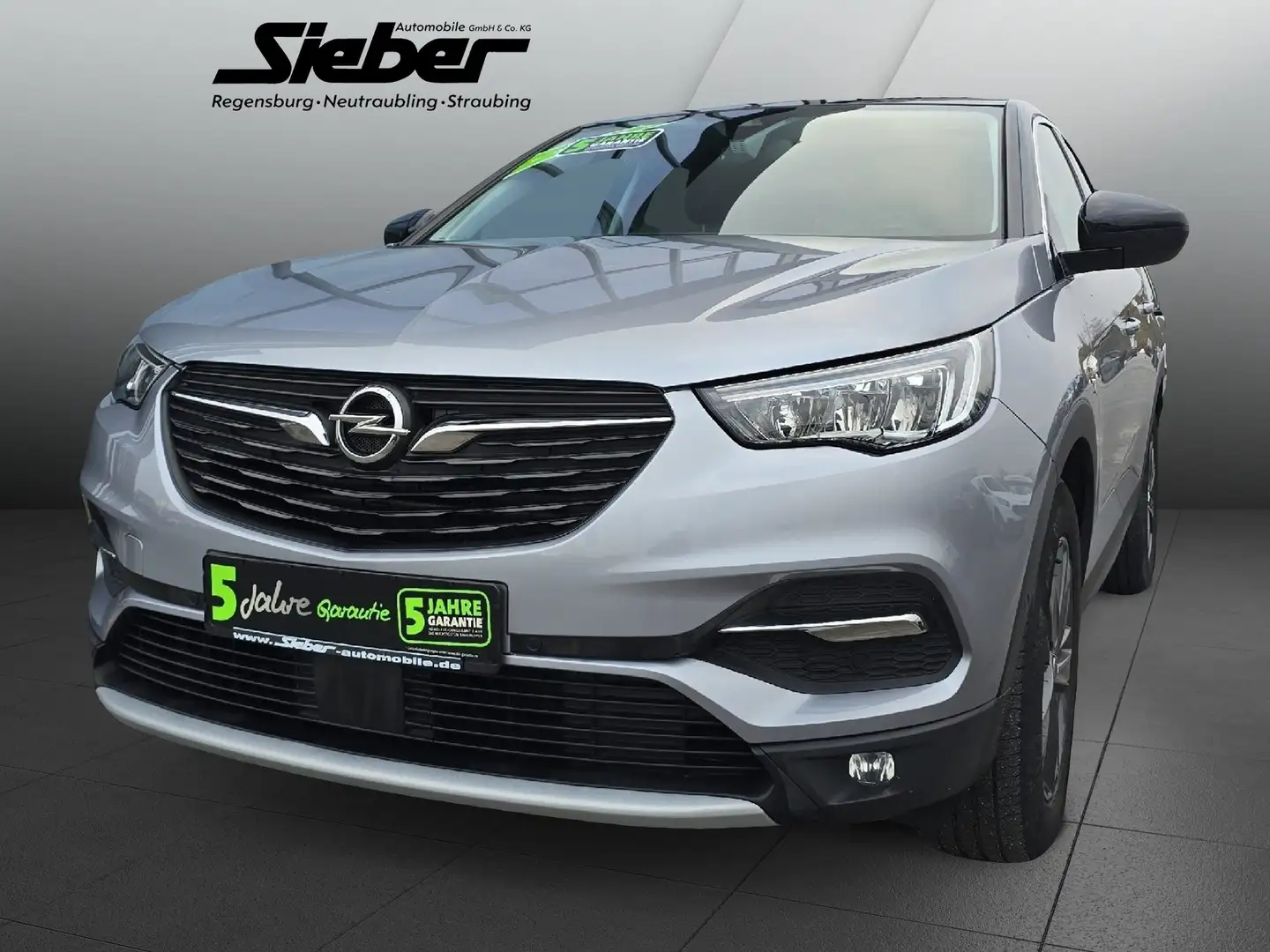 Opel Grandland 1.2 Turbo  2020 *Sitzheizung*PDC* Grau - 2
