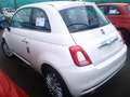 Fiat 500 1.0 hybrid DOLCEVITA KM 0!!! NO VINCOLI FINANZ!!! Wit - thumbnail 3