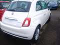 Fiat 500 1.0 hybrid DOLCEVITA KM 0!!! NO VINCOLI FINANZ!!! Wit - thumbnail 5