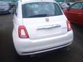 Fiat 500 1.0 hybrid DOLCEVITA KM 0!!! NO VINCOLI FINANZ!!! Wit - thumbnail 4
