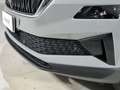 Skoda Karoq 2022 2.0 tdi evo Ambition 115cv dsg Gris - thumbnail 19