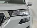 Skoda Karoq 2022 2.0 tdi evo Ambition 115cv dsg Gris - thumbnail 18