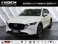 Mazda CX-5 L SKYACTIV-G 194 FWD 5T 6AG AL-AD'VANTAGE Blanc - thumbnail 1