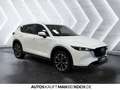 Mazda CX-5 L SKYACTIV-G 194 FWD 5T 6AG AL-AD'VANTAGE Blanc - thumbnail 5