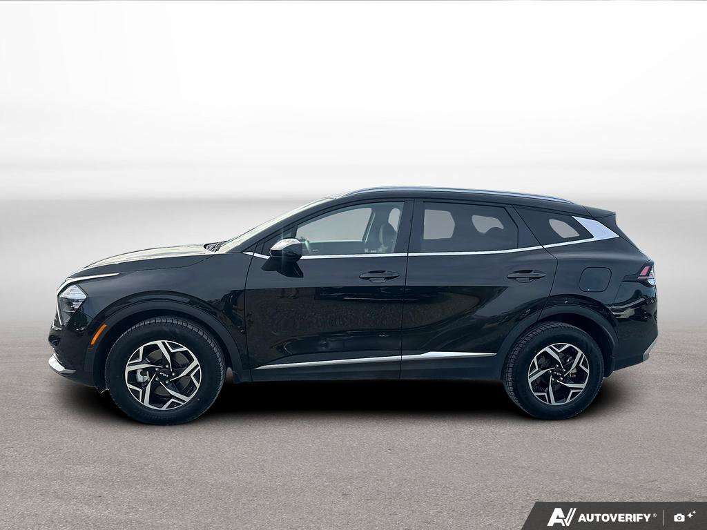 used 2024 Kia Sportage car, priced at $29,998