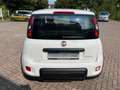 Fiat Panda Sport +Allwetter/DAB/FSE+ Weiß - thumbnail 7