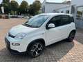 Fiat Panda Sport +Allwetter/DAB/FSE+ Weiß - thumbnail 4