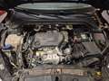 Ford Focus Focus 1.5 EcoBlueTitanium BOITE VITESSE CASSÉE Bruin - thumbnail 13