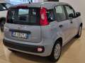 Fiat Panda Panda III 2021 1.0 firefly hybrid s Gris - thumbnail 6