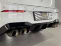 Volkswagen Golf 2.0 TSI R 20 Aniversario DSG 245kW Blanco - thumbnail 13