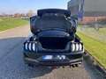 Ford Mustang Fastback 5.0 Ti-VCT V8 Aut. GT Schwarz - thumbnail 19