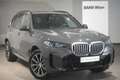 BMW X5 xDrive40i Grau - thumbnail 1
