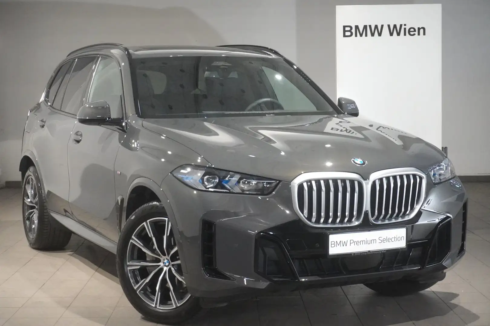 BMW X5 xDrive40i Grau - 1