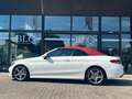 Mercedes-Benz C 220 Cabrio 220 d Premium auto Blanc - thumbnail 6