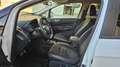 Ford EcoSport 1.0 EcoBoost ST-Line Blanc - thumbnail 5