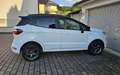 Ford EcoSport 1.0 EcoBoost ST-Line Blanc - thumbnail 10