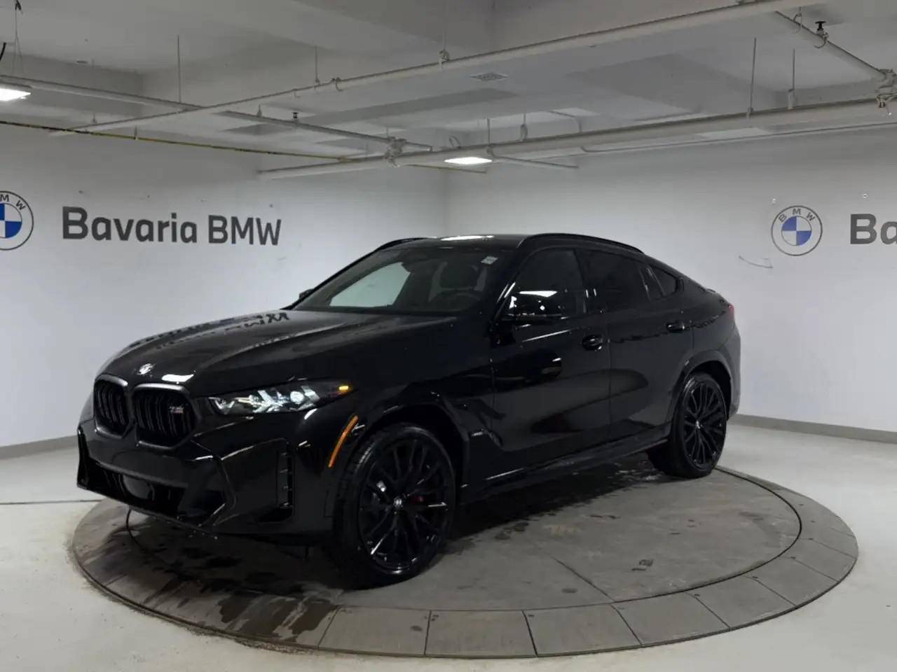 2026 BMW X6