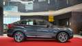 BMW X4 xDrive 30d AHK Kamera Bi-Xenon BMW-Scheckheft Grau - thumbnail 9
