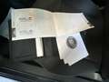 Fiat 500 1.2 easypower Pop Gpl 69cv Grigio - thumbnail 12