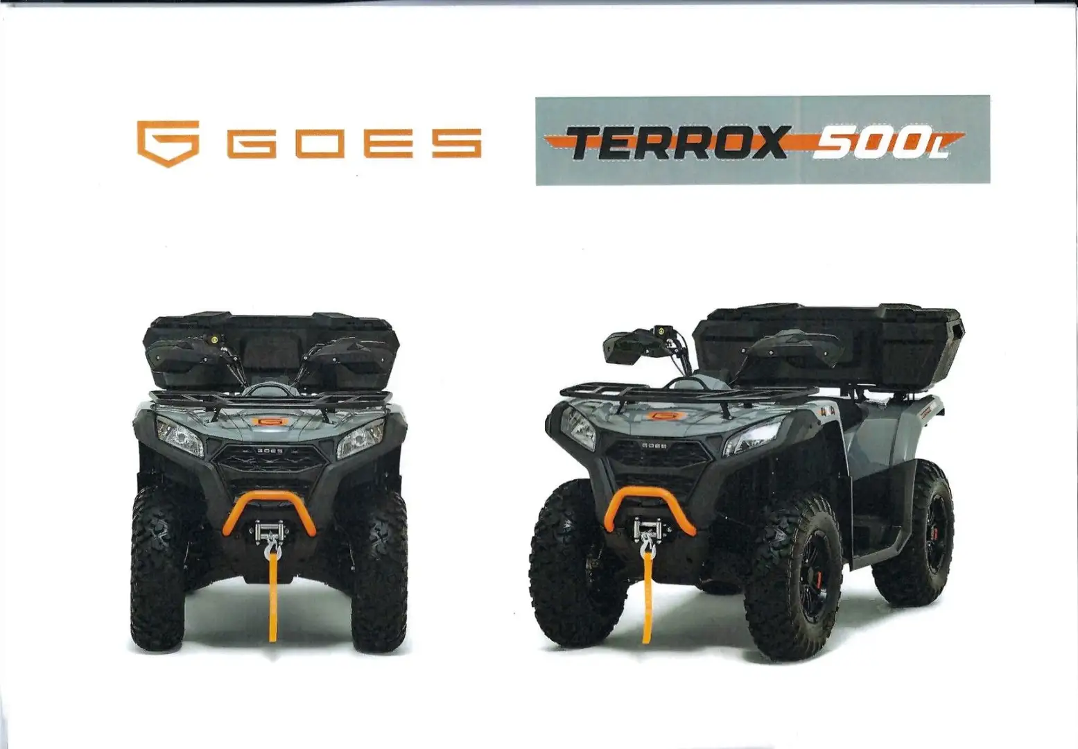 Goes TERROX 500L  ABS. AZV, Servolenkung, Seilwinde - 2