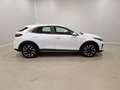 Kia XCeed 1.5 T-GDI Vision LED|Navi|RFK|SHZ Weiß - thumbnail 7