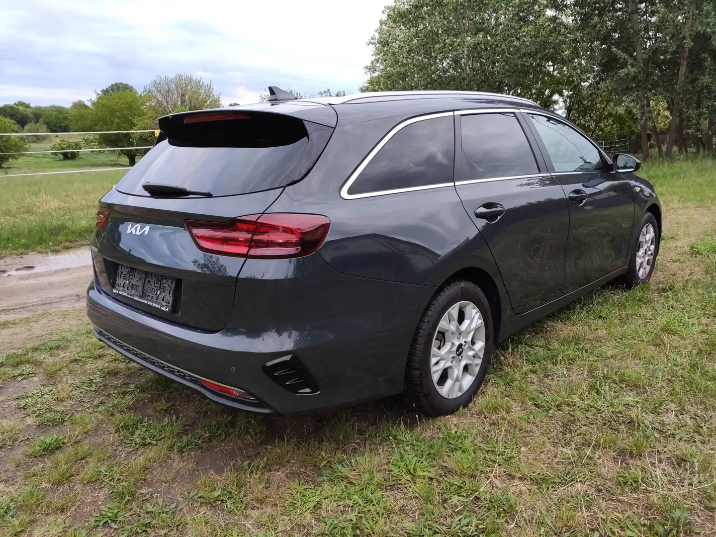 Kia Ceed SW / cee'd SW Kia Ceed SW 1.5 - WerksGarantie Grau - 2