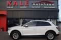 Audi Q5 40 TDI quattro S-tronic*1.Besitz*Navigation* Weiß - thumbnail 9