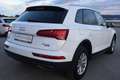 Audi Q5 40 TDI quattro S-tronic*1.Besitz*Navigation* Weiß - thumbnail 4