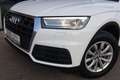 Audi Q5 40 TDI quattro S-tronic*1.Besitz*Navigation* Weiß - thumbnail 18