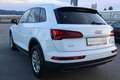 Audi Q5 40 TDI quattro S-tronic*1.Besitz*Navigation* Weiß - thumbnail 10